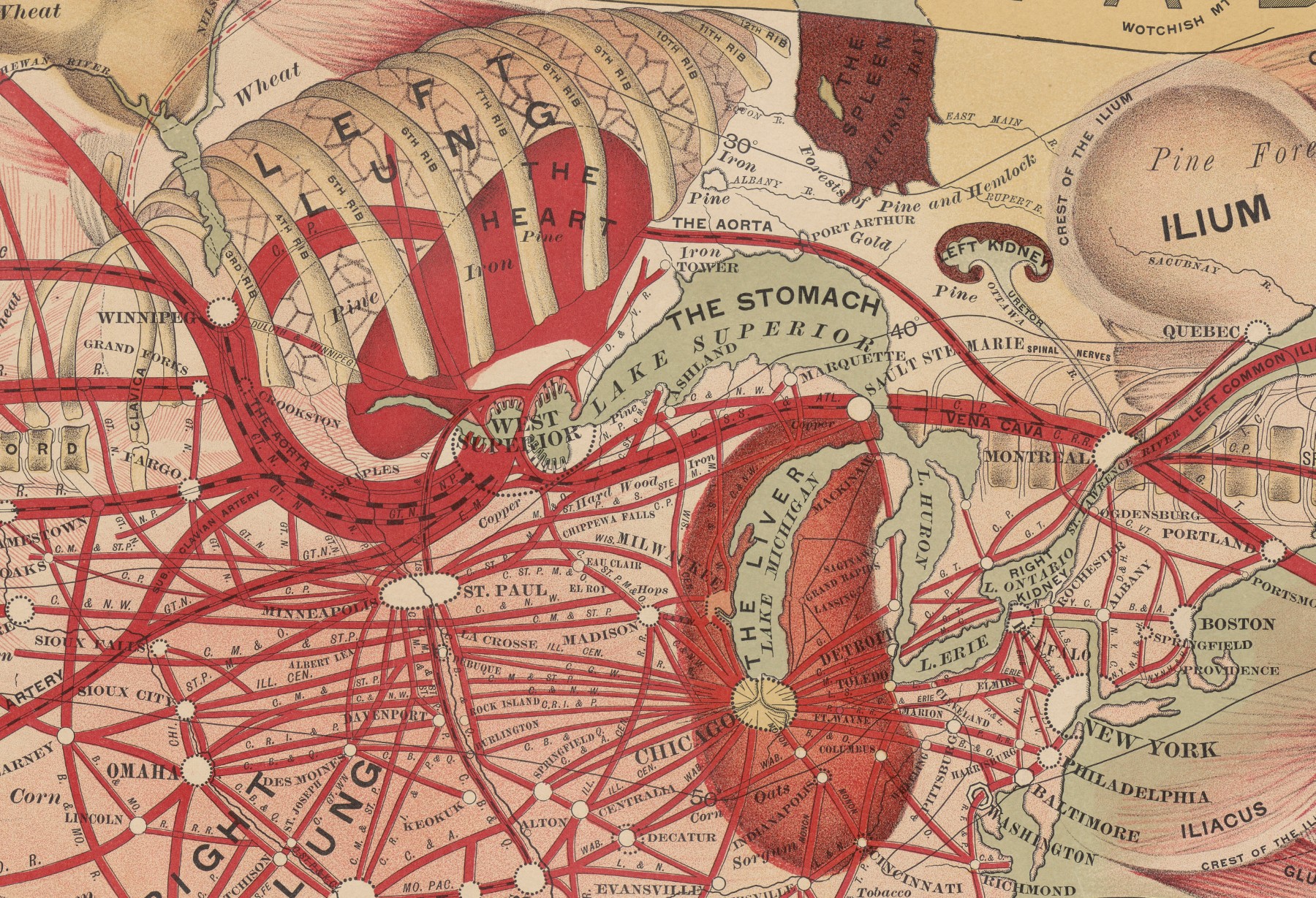 Detail of a map illustrating rail lines as arteries allowing the flow of commerce around the United States.