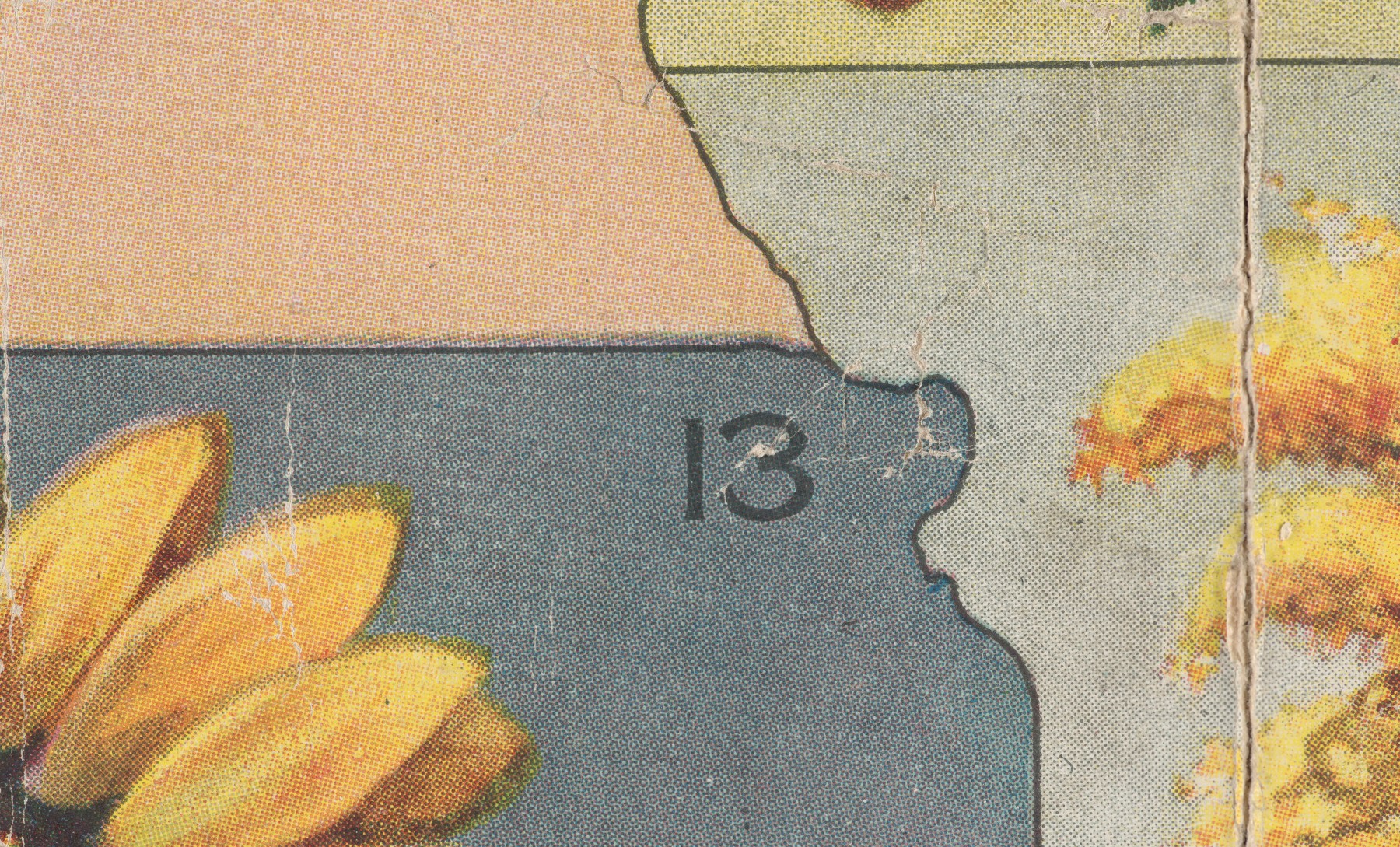 Detail of a map showing the screens from a halftone printing process.